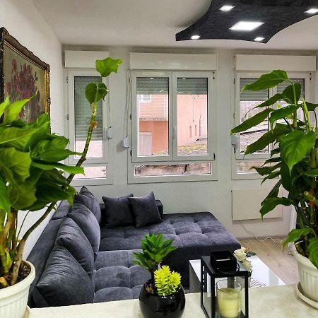 Apartment Tatjana Крагуєваць Екстер'єр фото